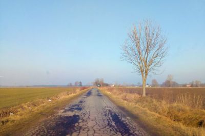 Droga asfaltowa, po lewej stronie rów, za rowem łąka, po prawej stronie rów, drzewo i pole