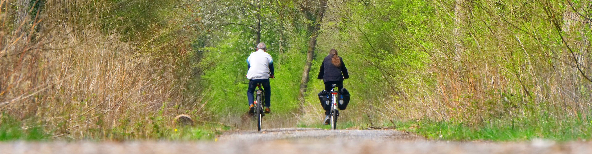 Dwaj rowerzyści oddalają się leśną drogą