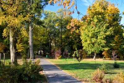 Park w Szymanowicach