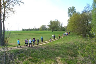 Grupa osób uprawiających nordic-walking