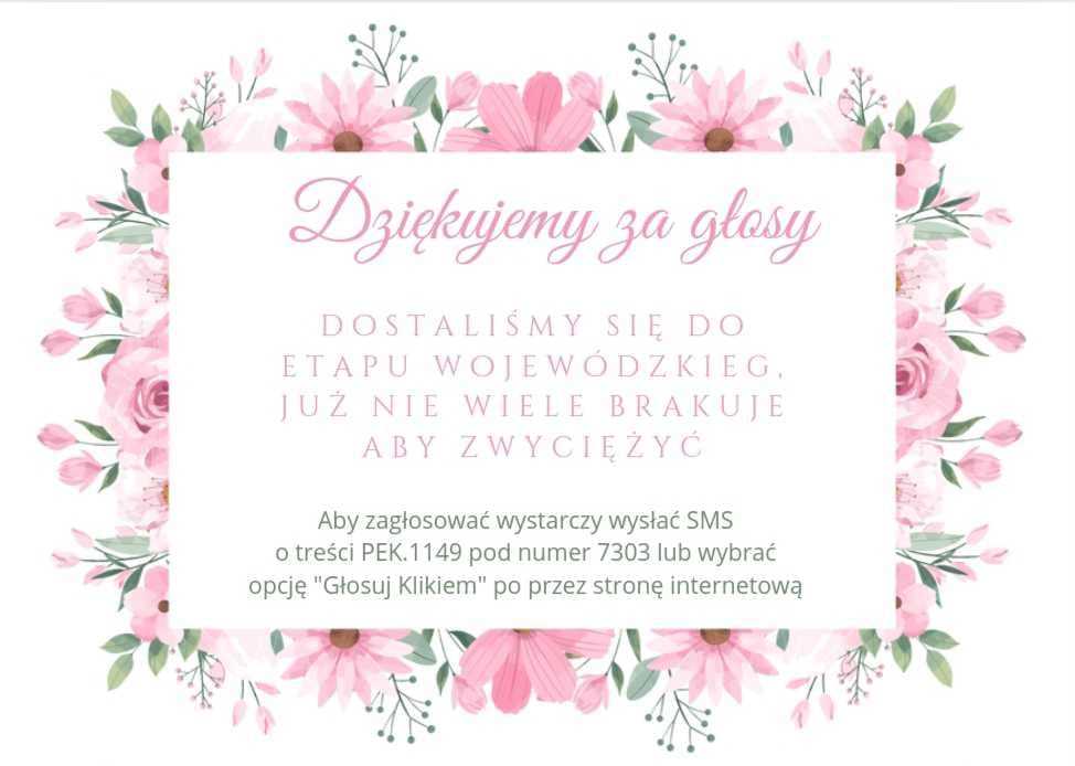 Baner plebiscytu