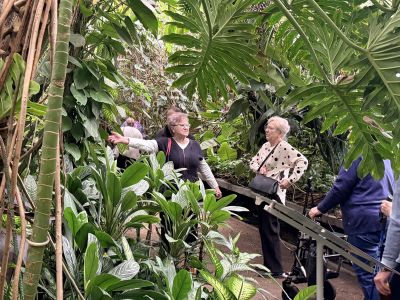 Zwiedzanie palmiarni