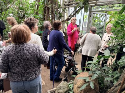 Zwiedzanie palmiarni