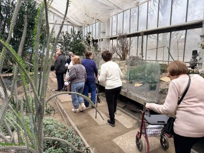 Zwiedzanie palmiarni