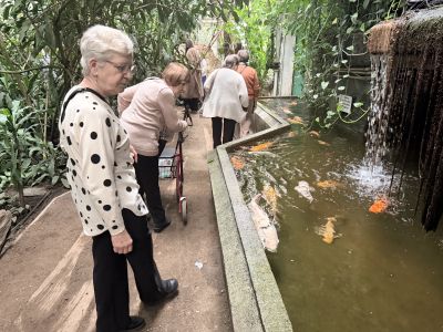 Zwiedzanie palmiarni