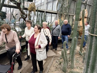 Zwiedzanie palmiarni