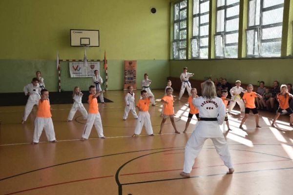 Zdjęcie z treningu taekwondo