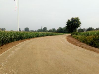 Droga o nawierzchni tłuczniowej, pobocza z piasku, po obu stronach drogi zielone pola kukurydzy, w oddali słup wiatraka i...