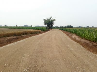 Droga o nawierzchni tłuczniowej, pobocza z piasku, z prawej strony pola kukurydzy, z lewej strony pole zboża, drzewo...
