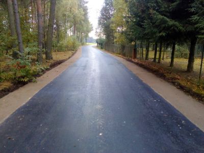 Droga asfaltowa, po obu stronach drogi pobocza gruntowe i drzewa