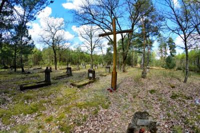 Ruiny cmentarza w lesie, pośrodku stary drewniany krzyż