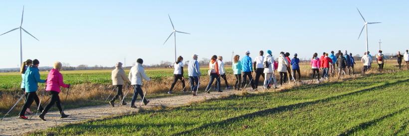 Grupa kilkudziesięciu osób z kijkami do nordic walking maszeruje gruntową drogą w wiosennej scenerii wśród pól na tle...