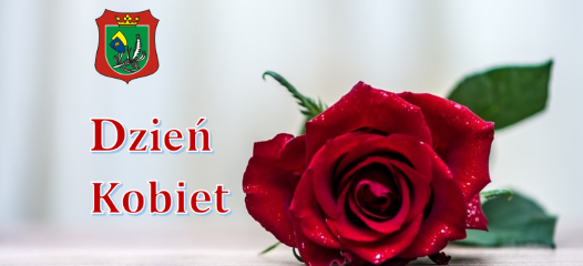 Róża i napis: Dzień Kobiet