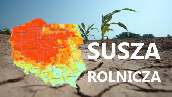 Susza rolnicza 2023 - nabór wniosków